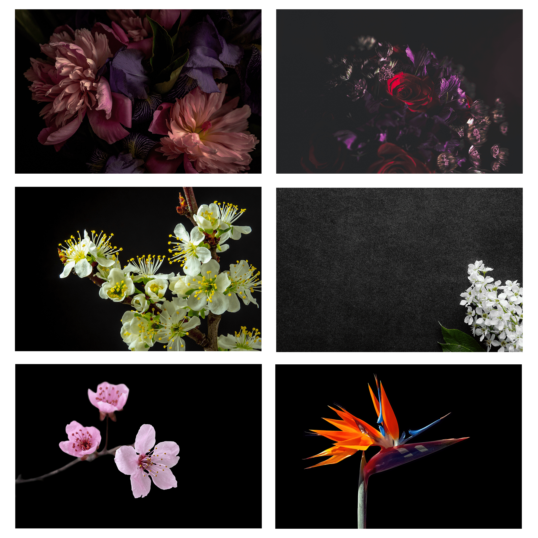 Induktionsschutzmatte Thema Blumen