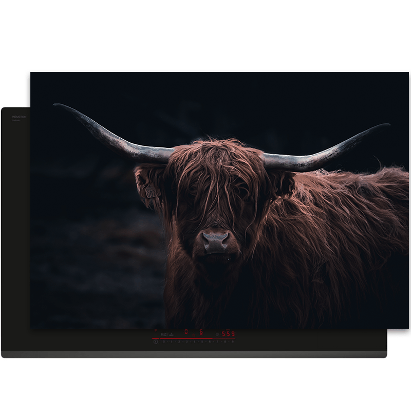 Inductiebeschermer - Schotse Hooglander - Dieren - Natuur - WIld - Bruin - Zwart - Inductie Maatje