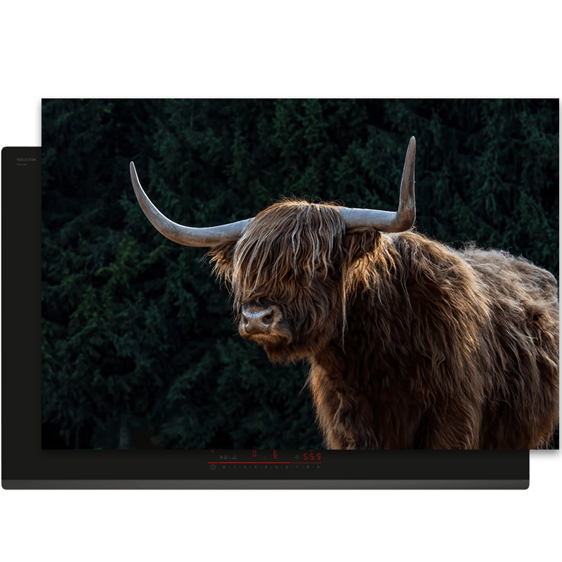 Inductiebeschermer - Schotse Hooglander - Dieren - Bruin - Zwart - Inductie Maatje