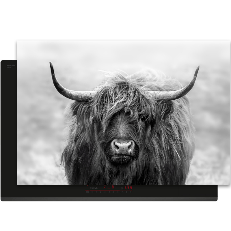 Inductiebeschermer - Schotse Hooglander - Dieren - Zwart - Wit - Inductie Maatje