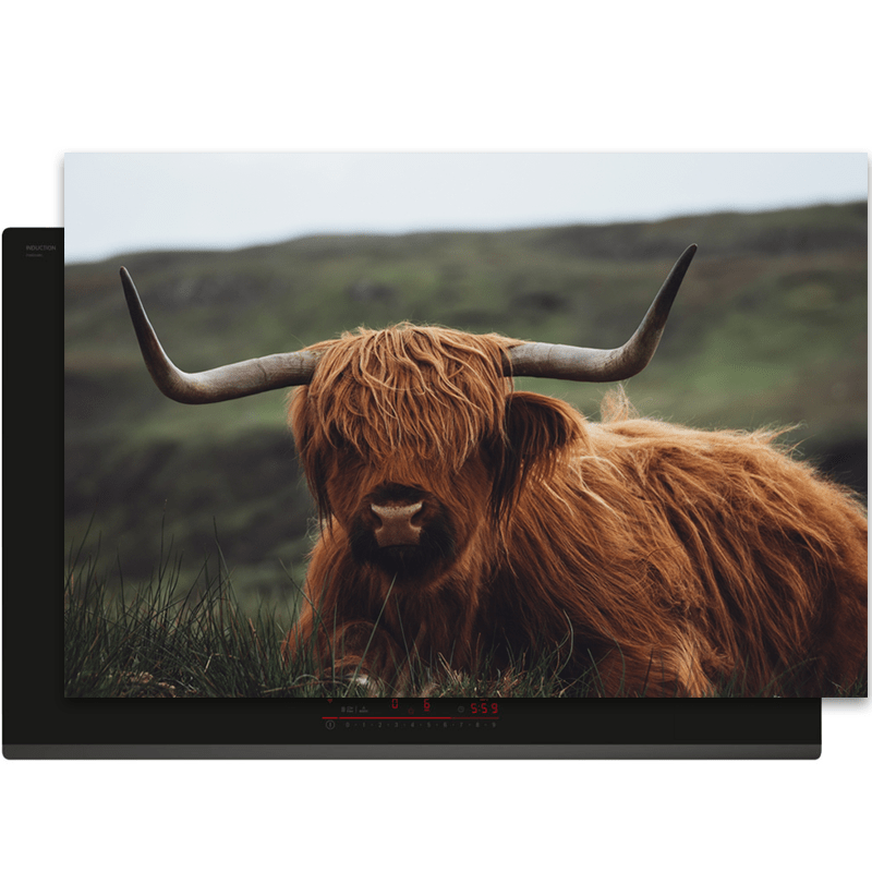 Inductiebeschermer - Schotse Hooglander - Dieren - Natuur - Zwart - Wit - Inductie Maatje