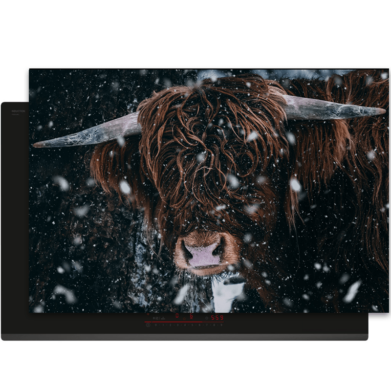 Inductiebeschermer - Schotse Hooglander - Koe - Horen - Sneeuw - Inductie Maatje