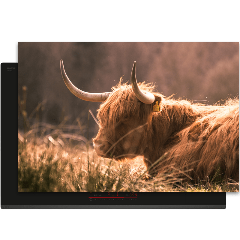 Inductiebeschermer - Schotse Hooglanders - Liggend - Horens - Bruin - Inductie Maatje